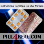 Instructions Secrètes De Miel Miracle new13